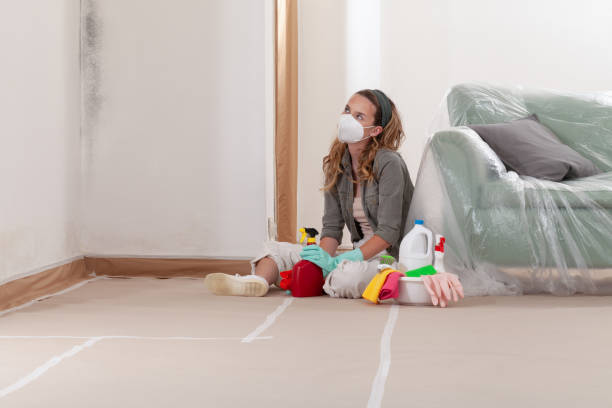 Reliable Mold Remediation contractor in Birch Bay, WA by 24 Hour Mold Removal